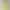 Anstq843 Cross-Border Fashion Dress Plus Size Solid Color Long-Sleeve Dress for Plus-Size Girls, Off-Shoulder Loose Fit for Pregnant Women Anstq843 Cross-Border Fashion Dress Plus Size Solid Color Long-Sleeve Dress for Plus-Size Girls, Off-Shoulder Loose Fit for Pregnant Women