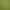 Flower Planting Tools Household suit Vegetable Planting Flowers Fleshy Flower Shovel Sea-driving Tools Shovel Shovel Gardening Shovel Flower Planting Tools Household suit Vegetable Planting Flowers Fleshy Flower Shovel Sea-driving Tools Shovel Shovel Gardening Shovel