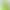 Cat Grass Seeds Soilless Hydroponic Kit Cat Snacks Lazy Pot Plant Cat Grass Self-Planting Hairball Removal Cat Supplies