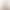 Polka Dot Sheer Mesh Skirt, Light Luxury High-Waisted Draped Slim-Fit Fishtail Long Skirt, Hot Girl Style Vacation Bodycon Skirt Polka Dot Sheer Mesh Skirt, Light Luxury High-Waisted Draped Slim-Fit Fishtail Long Skirt, Hot Girl Style Vacation Bodycon Skirt