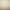 New Cartoon Beautiful Rose Wedding Bride Birthday Party Photo Photography Background Cloth Scene Decoration