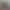 Correct Version 25Fw New Ch Chrome Hearts Patchwork Leather Leopard Print High Street Workwear Jeans Celebrity Style Versatile