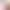Sweet MIU Wave Dot Girl Black Brown Lower Eyelashes Natural Simulation Segmented Single Cluster Gentle Pure Light Eyelashes Sweet MIU Wave Dot Girl Black Brown Lower Eyelashes Natural Simulation Segmented Single Cluster Gentle Pure Light Eyelashes