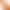 Adult New Hot Dog Costume Stage Performance Outfit Halloween Food Costume Cosplay Game Photography Outfit