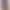European and American Cross-Border Amazon Pleated Butt-Lifting Yoga Shorts Cross-Border Sports V-Shaped Back High-Waisted Sexy Hot Pants