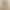 [Group Luxury Fabric] Super220 Count Worsted Wool Bermuda Shorts Commuting Five-Fifth Pants Z34141