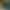 Thickened Dark Green Golden Velvet Fabric Stage Decorative Cloth Meeting Tablecloth Wedding Background Cloth Flannel Curtain Cloth Thickened Dark Green Golden Velvet Fabric Stage Decorative Cloth Meeting Tablecloth Wedding Background Cloth Flannel Curtain Cloth