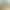 Hot-Selling Artificial Traveler's Banana, Bird of Paradise, Green Plant, Banana Leaf, Home Decoration, Wedding Photography Props, Artificial Green Plant Hot-Selling Artificial Traveler's Banana, Bird of Paradise, Green Plant, Banana Leaf, Home Decoration, Wedding Photography Props, Artificial Green Plant