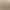 2026 Hot-Selling Cross-Border New Model Bb Monogram Ivy Small Messenger Carryall Small Horn-Shaped Baguette Bag Nano Water