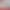 BLF651 stonefly nymph nymph stonefly bait fake bait hair hook hand-tied fly hook