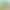 Hydroponic Plants, Spring-Leaf Ferns, Potted Philodendrons, Indoor Monstera, Spring-Rain Green Plants, Evergreen Green Plants, Office Desk Decorations