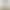 Elastic light blue low-waist flared jeans for women, plus size, pear-shaped, new spring/autumn style, loose and not tight-fitting bell-bottom pants