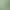 Sample Wholesale from Manufacturers: 2026 New Tea, Longjing Tea, Yuexiang Longjing, Green Tea, Black Tea, Sample Wholesale in Bulk