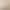 2025 New Autum High-Heeled Women's Stiletto Shoes Nude V-Shaped Buckle Professional Workplace Versatile Pumps White