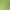 Freeze-Dried Cat Grass Teething Sticks Pet Chicken Cat and Dog Snacks Dropshipping Free Shipping Cat Grass Sticks