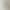 Artificial 3-Pronged Salted Fruit Rice, Acacia Fruit, Nordic Home Model Room Flower Arrangement Decoration, Overseas Wedding Artificial Flowers