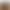 145cm Short Person's Bare-Leg Effect Magic Autumn and Winter Nude-Feel Spring and Autumn Thin Flesh-Colored Pantyhose Thick Fleece Leggings for Women