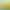 2026 Spring Tea Golden Hair Tea, One Bud One Leaf New Tea Leaves, Yingde Black Tea, Yinghong No. 9, Strong Aroma, Gift Box Packaging 2026 Spring Tea Golden Hair Tea, One Bud One Leaf New Tea Leaves, Yingde Black Tea, Yinghong No. 9, Strong Aroma, Gift Box Packaging