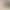 Modal Shorts for Women, Summer Thin High-Waisted Drawstring Loose Casual Home Pants That Can Be Worn Outside as Sleepwear