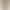 Cross-border European and American lace mesh fishtail evening dress, slim-fit long gown for banquets, parties, and wedding guests