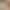 Cross-Border Wholesale Metal Buckle Halter Neck Camisole for Women, Summer Thai Style Spicy Girl Tube Top, Very Attractive Cross-Border Wholesale Metal Buckle Halter Neck Camisole for Women, Summer Thai Style Spicy Girl Tube Top, Very Attractive