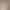 2026 New Style Short Wearable Nails, Gentle Nude Color Cat-Eye Nail Tips, Phototherapy, Brightening Effect, Simple and Versatile Fake Nails