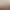 Fashionable Striped Color-Block Tote Bag 2026 European and American Retro Style Apc Canvas Bag Velvet Fabric Shoulder Bag