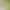 Amazon Pop-Up Foldable Plant Cover Insect Protection Cover Vegetable Flower Protective Cover Garden Plant Cover Amazon Pop-Up Foldable Plant Cover Insect Protection Cover Vegetable Flower Protective Cover Garden Plant Cover