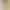 Lcross-Border Oro*Pia**Lp19 Backpack School Bag Leather Handbag Double Shoulder Crossbody Women's Bag Large Capacity Crossbody Bag