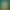 Dual-Chamber Bottle Olive Oil Lemon Juice Apple Cider Vinegar Juice Drink Cross-Border Custom Private Label Concentrated Liquid Vc Drink Nutritional Liquid