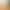 Cross-Border European Food Certificate Gold Alloy Accessible Luxury Swan 6-Pack Fruit Fork Cute Coffee Spoon Cross-Border European Food Certificate Gold Alloy Accessible Luxury Swan 6-Pack Fruit Fork Cute Coffee Spoon