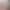 Professional Live Streaming Fill Light, Dedicated Lighting for Streamers, Indoor Led Soft Light for Photography and Beauty Enhancement, Default Setting