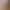 White Silk Pantyhose, Spring and Autumn Medium-Thickness Adult Dance Tights, Slimming Thin Style, Plus Size, Ultra-Thin Leggings