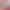 Cleaning Mop for Home Use, Ultra-Fine Fiber Cord Mop with Iron/Steel Rod, Absorbent, Traditional Dry and Wet Dual-Use Mop, Wholesale