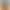 Color-Blocked Letter Print Camisole and Striped Waist Sports Shorts Two-Piece Set, Sexy Slim-Fit Beach Casual Volleyball Outfit