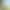 2026 Xianzhiniao 7A Deodorant Bamboo Leaf Green Ice-Feel Women's Underwear t Modal Fiber Other Mid-Waist