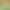 Longjing Tea, One Bud One Leaf, Pre-Qingming Longjing Green Tea, 2026 Strong-Flavor Type, Wholesale Loose Tea for Personal Consumption Longjing Tea, One Bud One Leaf, Pre-Qingming Longjing Green Tea, 2026 Strong-Flavor Type, Wholesale Loose Tea for Personal Consumption