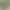 Money Tree Bird of Paradise Potted Indoor Large Plant Loose-Tailed Sunflower Duck Foot Wood Living Room Office Large Potted Green Plant Money Tree Bird of Paradise Potted Indoor Large Plant Loose-Tailed Sunflower Duck Foot Wood Living Room Office Large Potted Green Plant
