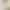 Modal Base Layer Women's Thin Undershirt for Spring, Autumn, and Winter, Slim Fit Round Neck Long Sleeve T-Shirt Top, Spring and Autumn Leg Warmer