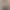 Direct Sale from the Manufacturer: Cotton Polo Collar Short-Sleeve T-Shirt for Women, Summer Stylish, Age-Reducing, Irregular High-Waisted Short Style, Slimming, Hong Kong Style