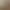 Genuine leather color-block vintage ballet-style German training shoes for women, 2026 autumn and winter new model, soft-soled casual sneakers, Forrest Gump shoes Genuine leather color-block vintage ballet-style German training shoes for women, 2026 autumn and winter new model, soft-soled casual sneakers, Forrest Gump shoes