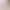 Women's Rose Gold Rhinestone Mules for Export, Transparent Square Heel, Open-Toe Crystal-Embellished High Heels, Cross-Border