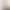 Sexy Lace Backless Versatile Camisole for Women, Can Be Worn Outside, with Chest Pads, High-End French-Style Lingerie