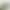 Simulation Plant Green Plant Sunflower Leaf Dark Light Color Tropical Plant Coconut Leaf Feather Sunflower Leaf Decorative Wall Design Style Simulation Plant Green Plant Sunflower Leaf Dark Light Color Tropical Plant Coconut Leaf Feather Sunflower Leaf Decorative Wall Design Style