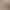 Autumn and winter socks boneless color imitation brown with Birkenstock shoes women's Maillard mid-tube socks combed cotton straight stacked socks Autumn and winter socks boneless color imitation brown with Birkenstock shoes women's Maillard mid-tube socks combed cotton straight stacked socks
