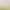 10-18 Years Old 5 Pairs of Class a Pure Cotton Underwear for Girls Junior High School Students 7A Antibacterial Cotton Crotch Girls Briefs Shorts