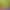 Authentic First-Crop Green Kiwi Fruit, Seasonal Fresh Fruit, Whole Box, Direct E-Commerce Dropshipping, Direct Shipment from the Place of Origin