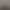 Pure Cotton T-Shirt 2025 New Trendy Brand Sports Men's Loose Large Size Round Neck Printed Internet Celebrity Style Base Shirt
