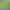 outdoor led atmosphere electric firefly lamp reed lamp dandelion lamp wheat ear lamp decorative lamp interactive decorative lamp