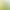 Supply of Chlorophyll Copper Sodium Salt, Food-Grade Water-Soluble Chlorophyll, Compound Green Pigment, Natural Green